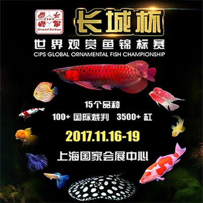 2024年觀賞魚展覽會圖片：2024年中國(福州)國際漁業(yè)博覽會 魚缸百科 第3張