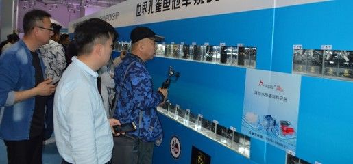 2024年長城杯水族展會時間表格：2024年長城杯水族展會時間表 魚缸百科 第2張