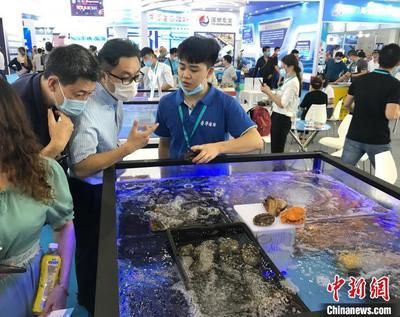 2024年水族展會(huì)時(shí)間及地點(diǎn)圖片：2024年山東國(guó)際寵物水族用品展 魚缸百科 第3張