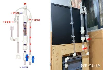 diy自制魚缸：diy自制魚缸制作經(jīng)驗(yàn)分享 魚缸百科 第3張