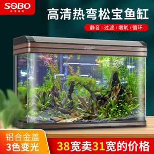 國內(nèi)龍魚繁殖：國內(nèi)龍魚養(yǎng)殖技術(shù) 龍魚百科 第2張