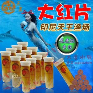 治龍魚蒙眼用什么藥：治療龍魚蒙眼的藥物和方法龍魚蒙眼的原因及治療方法