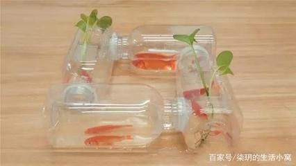 diy魚(yú)缸需要什么工具：diy魚(yú)缸需要哪些工具 魚(yú)缸百科 第4張