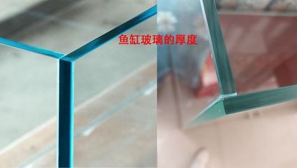 300升水的魚缸用多厚的玻璃：魚缸玻璃厚度如何選擇 魚缸百科 第4張