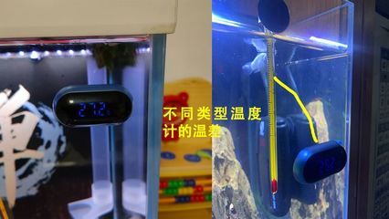 1.2米魚(yú)缸用多厚的玻璃管呢：1.2米魚(yú)缸玻璃厚度怎么選？ 魚(yú)缸百科 第1張