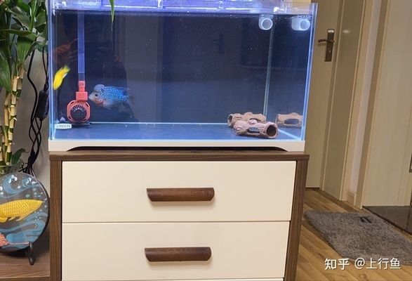 1號(hào)水族魚(yú)缸底柜 魚(yú)缸百科 第1張