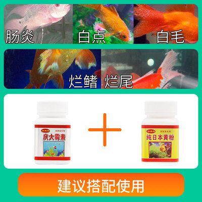 80的魚缸用多少慶大霉素：一個80升的魚缸，慶大霉素的使用量是多少？ 魚缸百科 第3張