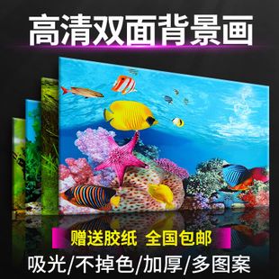 60的魚缸能養(yǎng)幾條金魚：60厘米的魚缸能養(yǎng)幾條金魚 魚缸百科 第4張