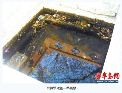 100個經(jīng)典魚池圖片：庭院設(shè)計(jì)中魚池的設(shè)計(jì)與布局