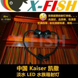 FISHTANK魚缸燈：fishtank魚缸燈安裝方法魚缸燈的安裝方法 魚缸百科 第3張