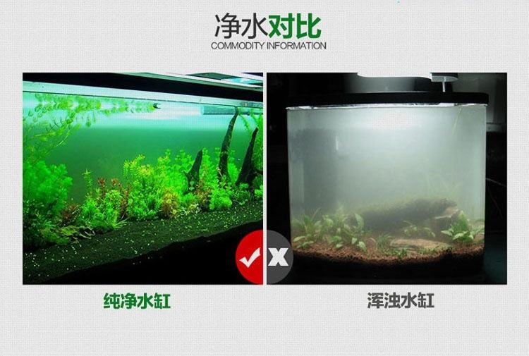 1米8魚缸用多厚的超白玻璃合適呢視頻：)魚缸制作教程(第一集)魚缸制作教程 魚缸百科 第3張