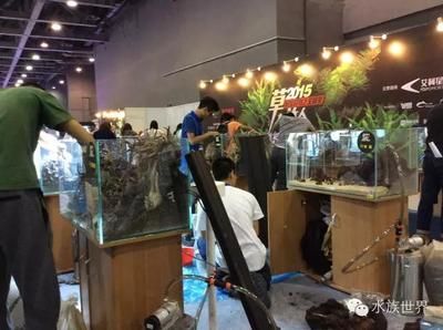 2024年國際寵物水族展：2024年中國國際寵物水族展覽會