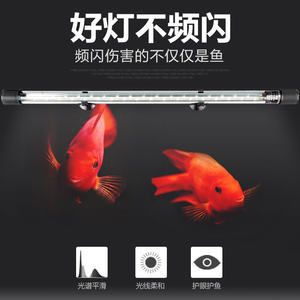 80cm的魚(yú)缸用多大尺寸的燈：80cm長(zhǎng)度的魚(yú)缸燈選擇合適的魚(yú)缸燈的選擇和使用途來(lái)決定