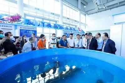 2024年山東水族展會時(shí)間表：關(guān)于2024年山東水族展會時(shí)間表的信息和地點(diǎn)