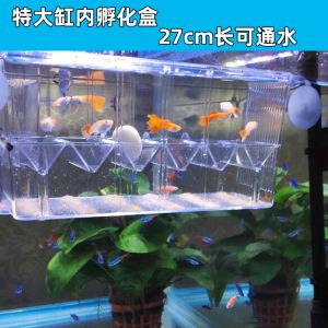 1米八的魚缸適合養(yǎng)多少條魚苗：1米8的魚缸適合養(yǎng)864條魚苗嗎？