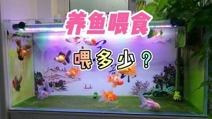 50的魚缸適合養(yǎng)多少魚：50升的魚缸適合養(yǎng)什么樣的魚