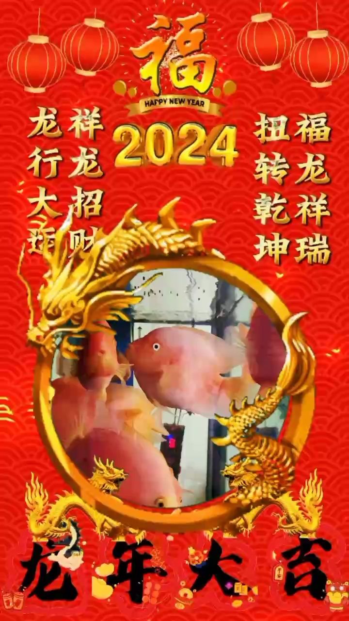 簽到：打卡,浪子過客評(píng)論：喜慶吉祥,諸葛非評(píng)論：新年快樂 觀賞魚論壇