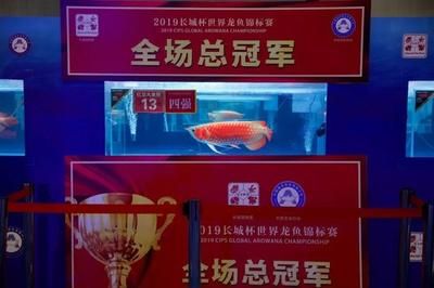 世界龍魚錦標賽的要求有什么：“長城杯”世界龍魚錦標賽面向全體魚友開放j評分方式