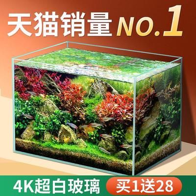 40cm魚缸養(yǎng)多少魚：一個長40cm、寬25cm、高未知的魚缸可以養(yǎng)25cm長25條 魚缸百科 第3張