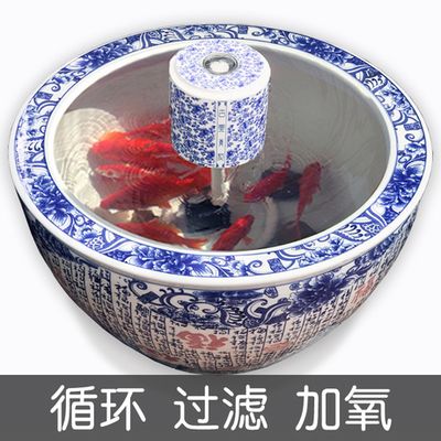 60金魚缸用什么過濾：關(guān)于金魚缸過濾器的幾個問題 魚缸百科 第1張