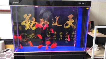 grech是什么牌子的魚缸：grech是什么牌子的魚缸？