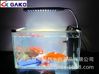 50cm魚缸led燈多少瓦：50cm魚缸led燈的瓦數(shù)選擇