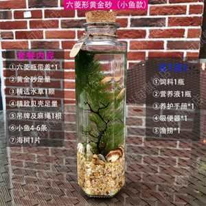 diy魚缸換水：diy魚缸換水的方法和注意事項和注意事項和注意事項 魚缸百科 第1張