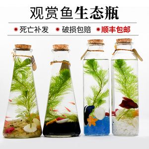 diy魚缸換水：diy魚缸換水的方法和注意事項和注意事項和注意事項 魚缸百科 第4張