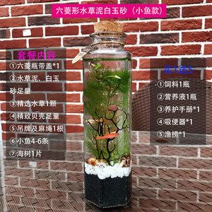 diy魚缸換水：diy魚缸換水的方法和注意事項和注意事項和注意事項 魚缸百科 第3張