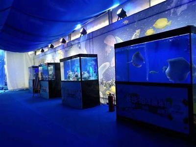 2020水族魚缸博覽會圖片：2020上海國際水族展亮點打造最具性價比展會