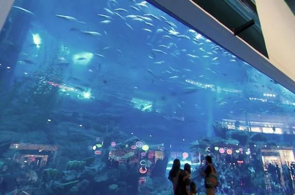 2020魚缸展會：2020年廣州國際水族展 魚缸百科 第1張