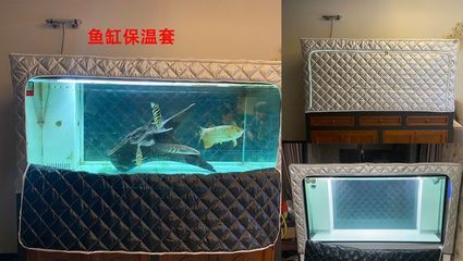 80魚(yú)缸8mm厚怕裂嗎：80cm長(zhǎng)的魚(yú)缸使用8mm厚的玻璃安全嗎？ 魚(yú)缸百科 第4張