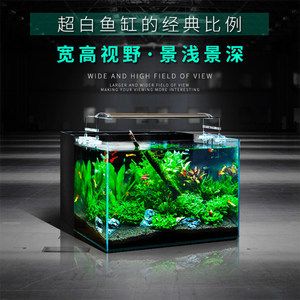 30的魚缸過濾器用什么最好：30升的魚缸過濾器怎么選 魚缸百科 第3張