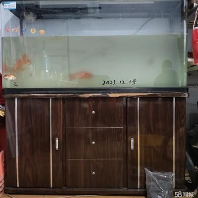 1號水族魚缸使用說明書：1號水族魚缸使用說明書的內(nèi)容：魚缸使用說明書的信息 魚缸百科 第3張