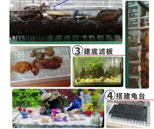 30魚缸要多少斤底沙：如何選擇合適的魚缸底砂