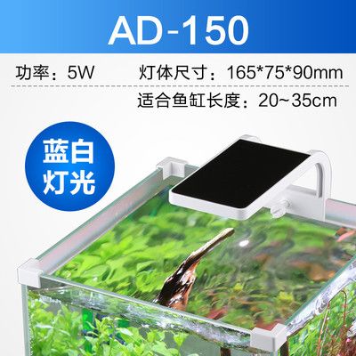 80厘米的魚缸用多大的燈：80厘米的魚缸可以使用多種類型的燈