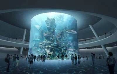 2024年國(guó)際水族展：中國(guó)國(guó)際寵物水族展覽會(huì)(cips)