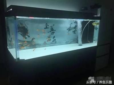 1號(hào)水族魚缸使用說(shuō)明書圖片：1號(hào)水族魚缸使用指導(dǎo) 魚缸百科 第3張