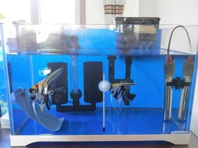 1號(hào)水族魚缸使用說(shuō)明書圖片：1號(hào)水族魚缸使用指導(dǎo) 魚缸百科 第1張