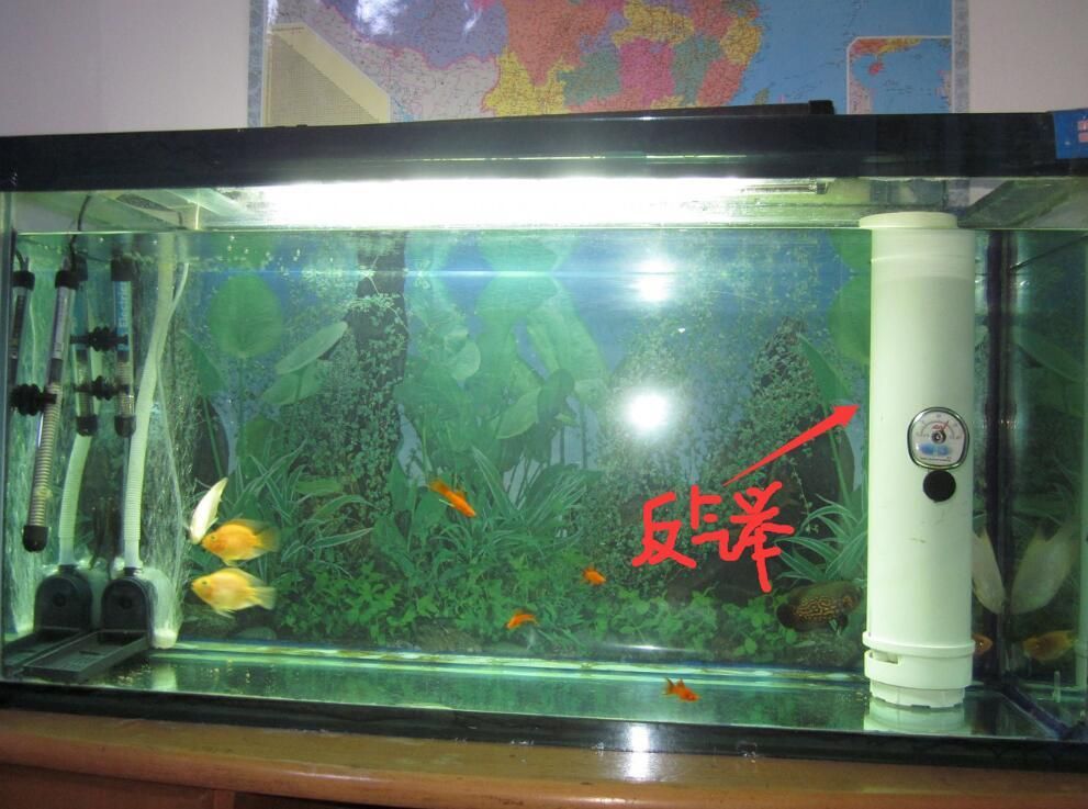 giea魚(yú)缸過(guò)濾怎么安裝giea魚(yú)缸過(guò)濾怎么安裝魚(yú)缸上過(guò)濾怎么安裝方法：giea魚(yú)缸過(guò)濾器安裝和使用方法魚(yú)缸過(guò)濾器的安裝和使用方法 魚(yú)缸百科 第1張