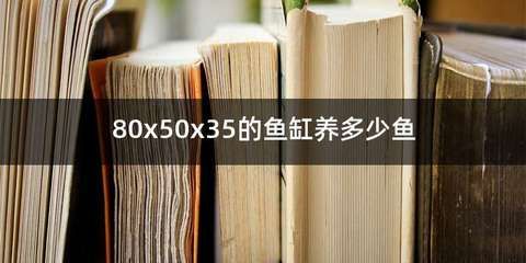 80x50的魚缸適合養(yǎng)什么魚：80x50的魚缸適合飼養(yǎng)多種熱帶魚和淡水魚 魚缸百科 第4張