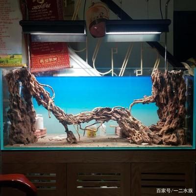 502膠能粘魚缸嗎：502膠水可以粘魚缸嗎？ 魚缸百科 第2張