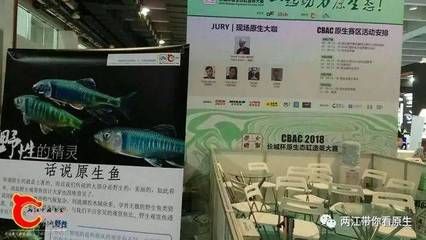 2024年廣州水族用品展會(huì)時(shí)間表圖片：2024年廣東水上運(yùn)動(dòng)用品展會(huì)時(shí)間表2024廣東水展 魚缸百科 第1張