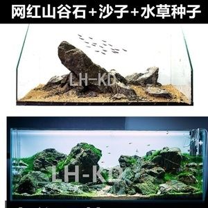 60厘米魚缸造景無底砂圖片及價格：60厘米魚缸造景價格是多少？ 魚缸百科 第3張