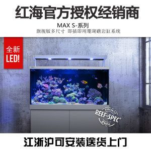 60的魚缸是多大尺寸：60的魚缸是指長度為60厘米的魚缸具體的尺寸和用途 魚缸百科 第3張