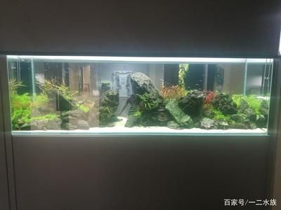 2米長魚缸造景：2米長的魚缸造景內(nèi)部構(gòu)造詳解核心造景讓你輕松打造美麗魚缸