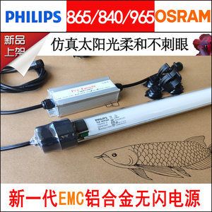 40cm魚缸耗電量1個月多少電：40cm魚缸1個月的耗電量可能會因具體情況而異 魚缸百科