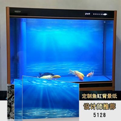 60x60x40魚缸：60x60x40厘米的魚缸適合養(yǎng)什么魚 魚缸百科 第1張