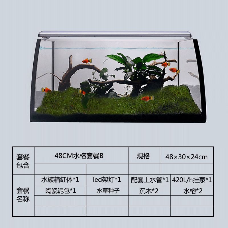 60魚缸適合造什么景：60魚缸適合養(yǎng)什么魚 魚缸百科 第4張