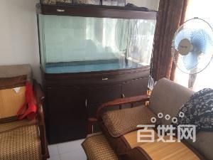 famous是什么牌子魚缸：famous魚缸十大品牌排行榜famous魚缸品牌排行榜 魚缸百科 第3張